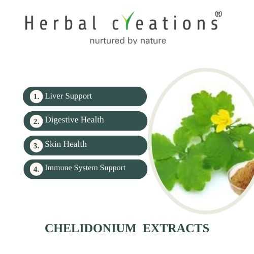 Chelidonium Extracts Manufacturer